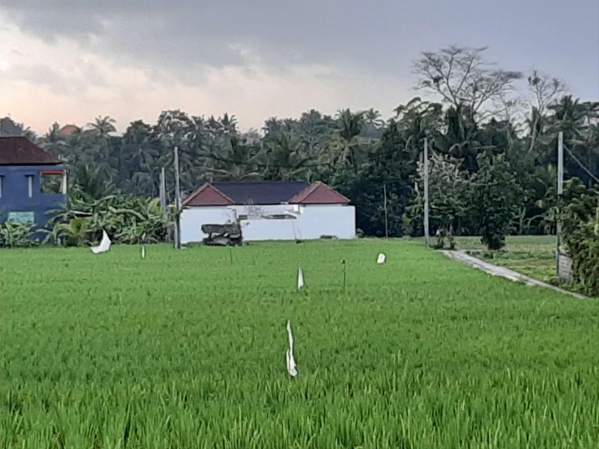 The Satya Villa 우붓 외부 사진